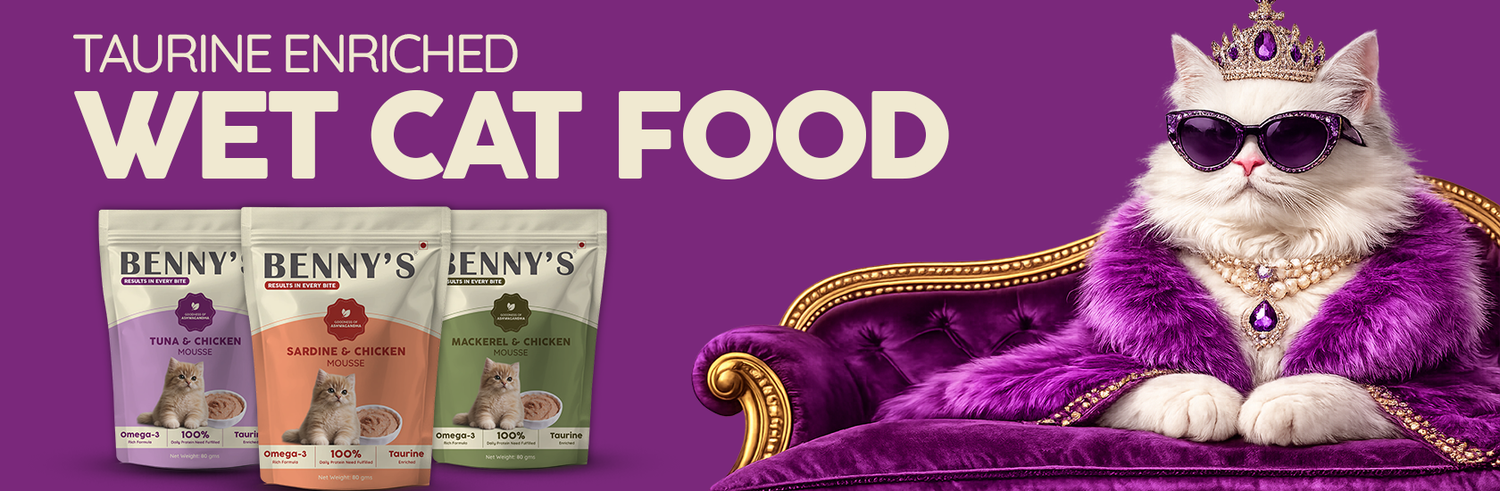 Cat Food