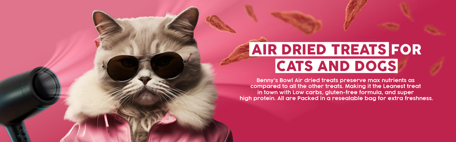 Air-dried-treats_Chicken-_-Strawberry-Jerky_6697f37b-555b-45a0-8c3c-66fd5eb9b689 - Benny’s Bowl