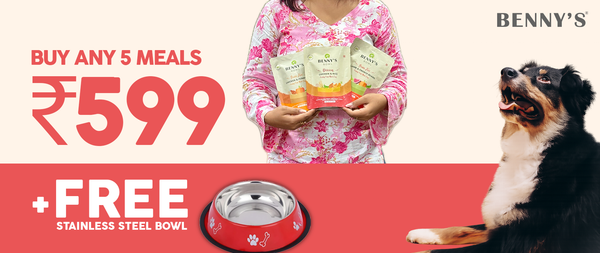 Meals - Buy Any 5 At 599 Get Free Bowl