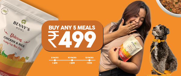 Meals - Buy Any 5 At 499