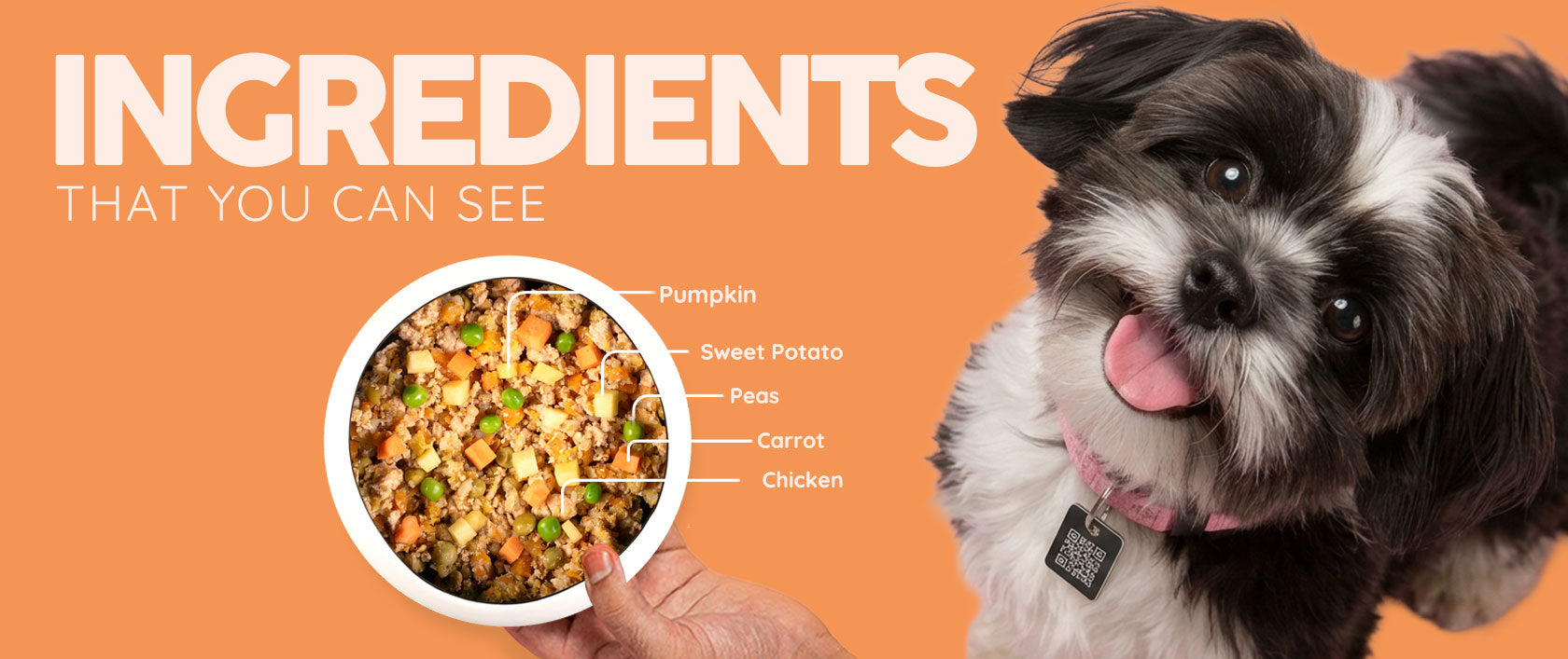 CP-ingredients-desktop-1 - Benny’s Bowl