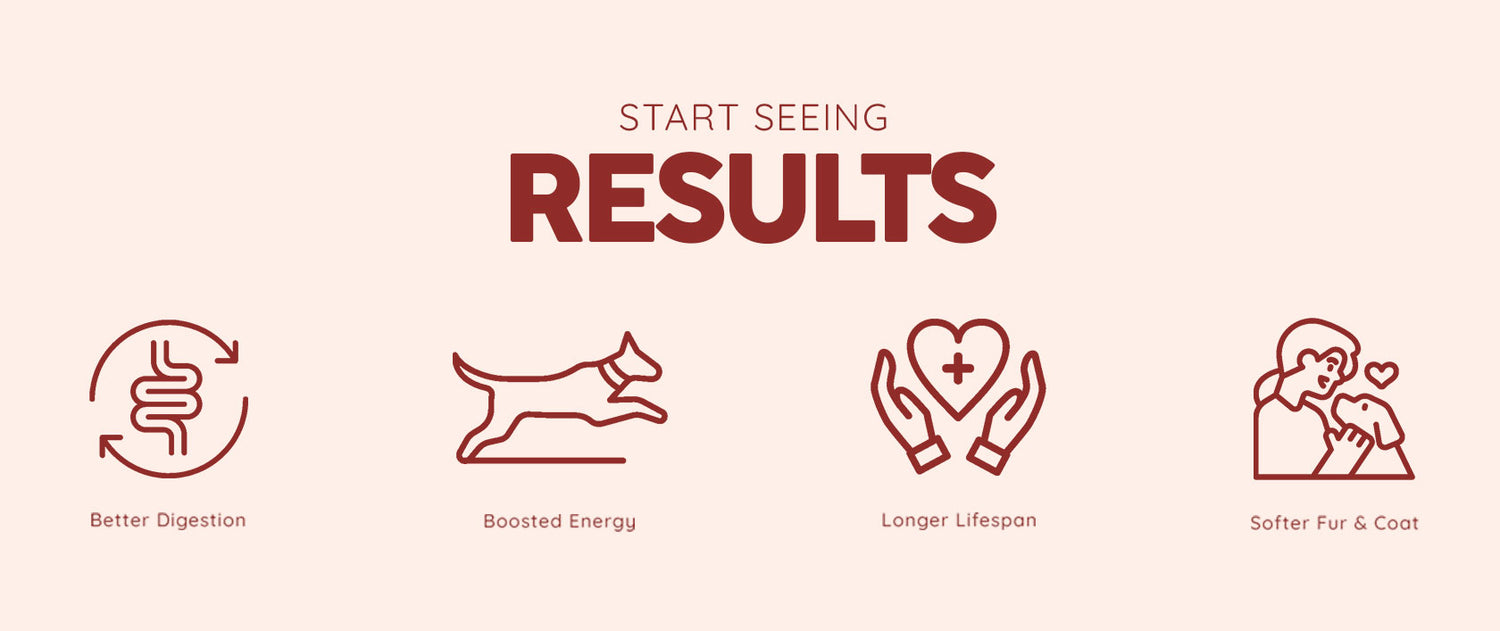 CR--Health-Benefits - Benny’s Bowl