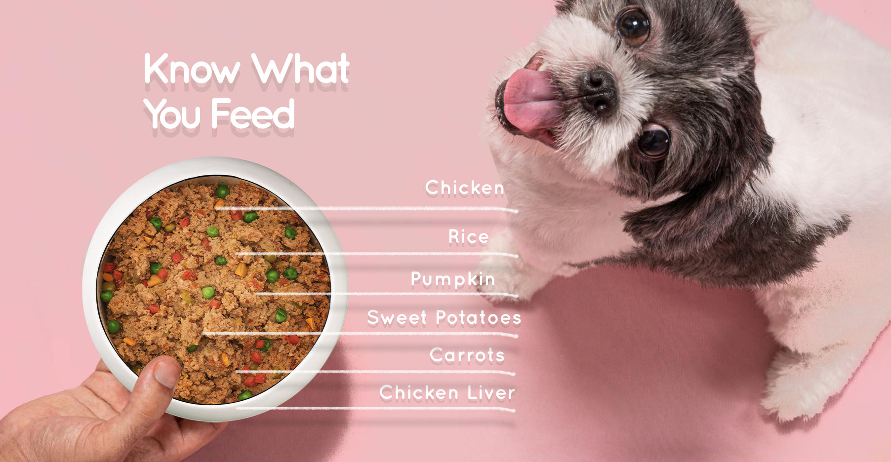 Benny's Bowl Fresh Dog Food | Chicken & Rice – Benny’s Bowl