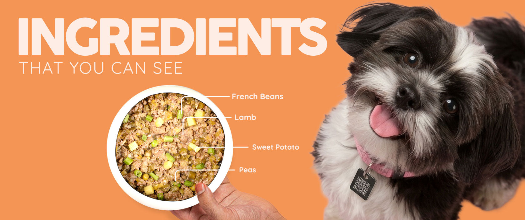 LFB-ingredients-desktop-1 - Benny’s Bowl
