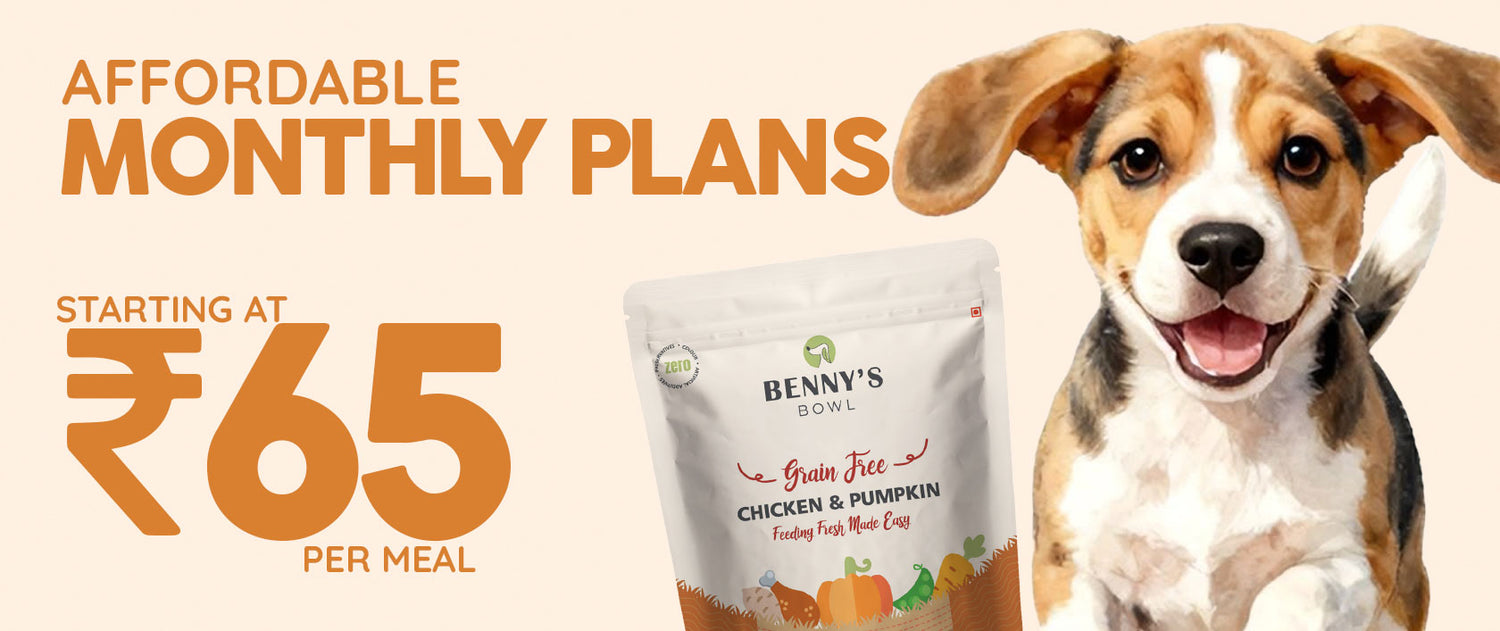 MONTHLY-PLANS_home - Benny’s Bowl