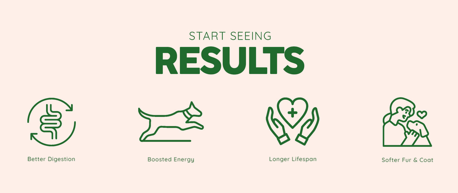 PO--Health-Benefits - Benny’s Bowl