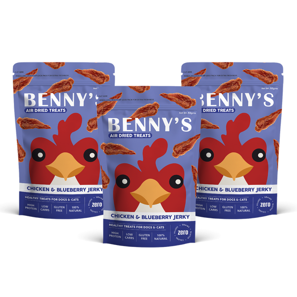 Chicken & Blueberry Jerky - 50g