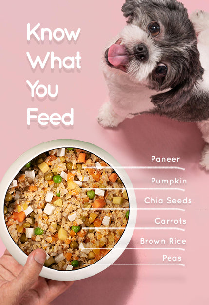 Benny's Bowl Paneer & Brown Rice Homemade Dog food – Benny’s Bowl