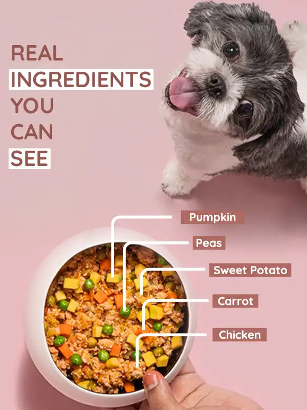 Mobile Feeding Instructions