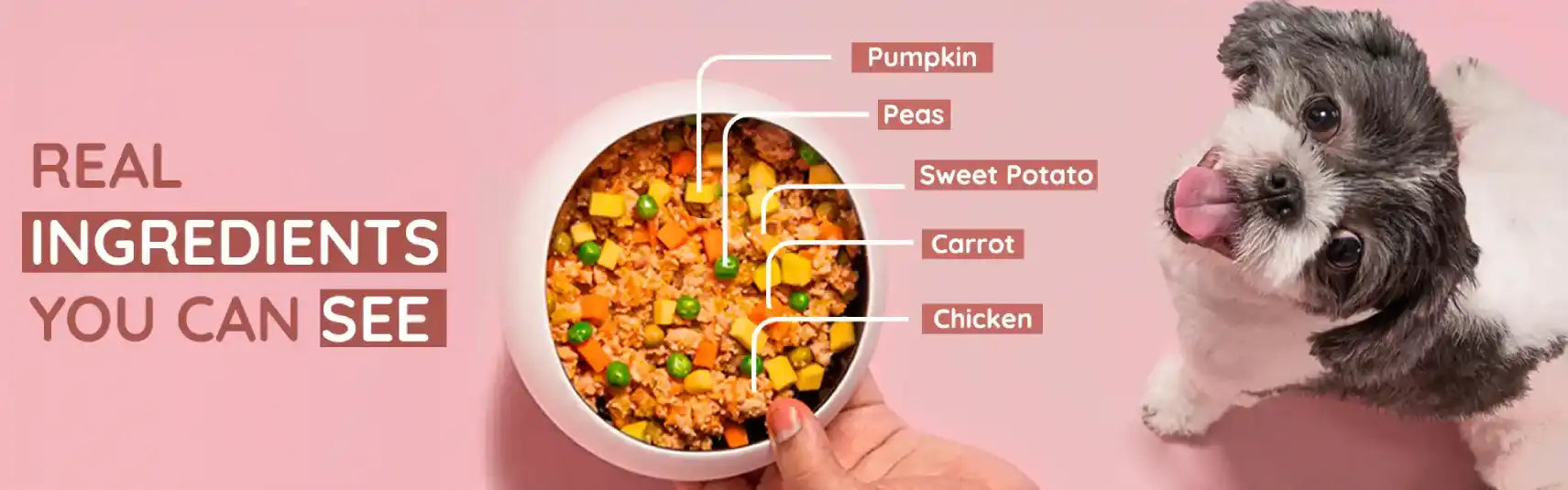 Feeding Instructions Banner