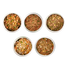 Fresh Food Trial Pack of 5