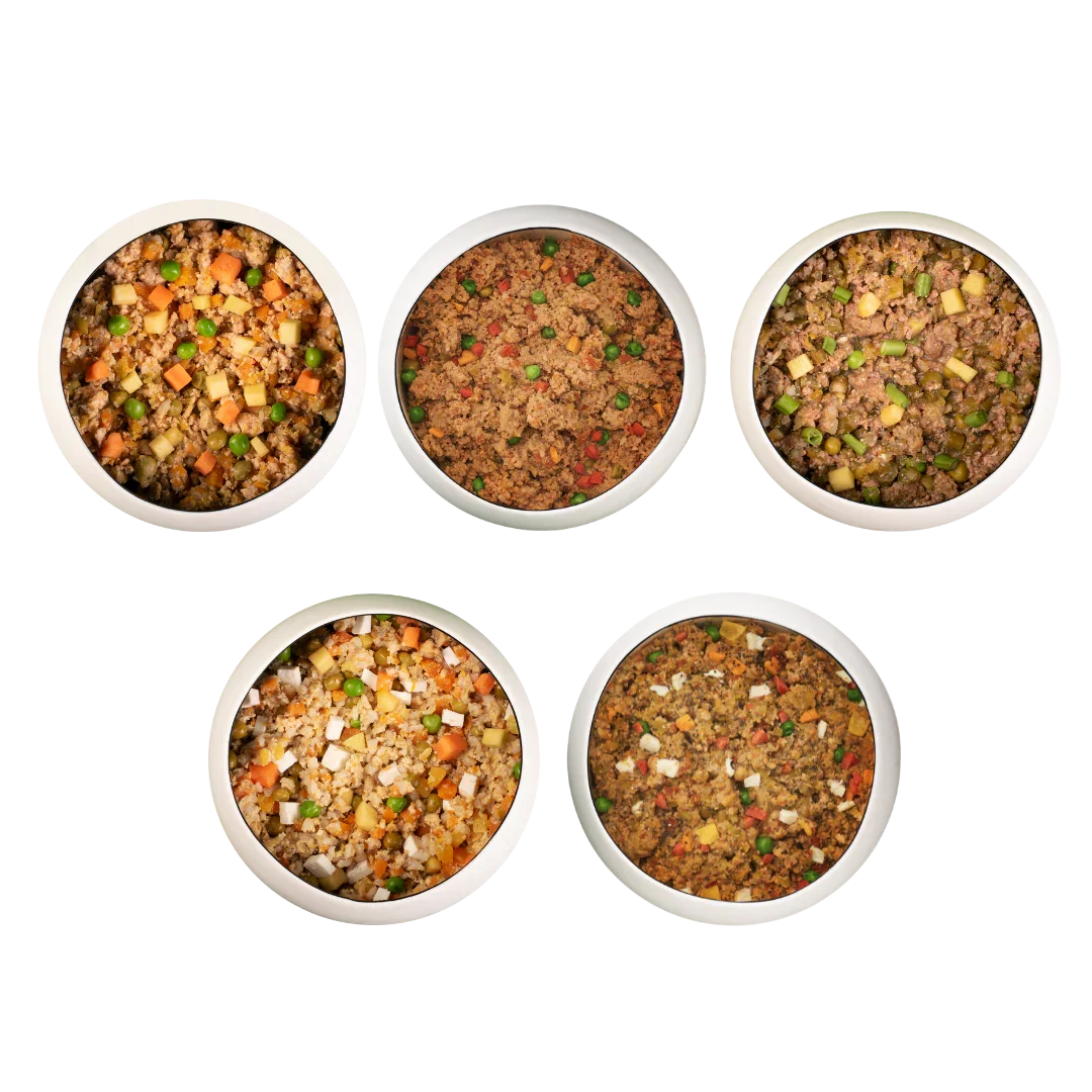 TrialPack_f66400b5-62f7-4b2e-934b-167f62598953 - Benny’s Bowl