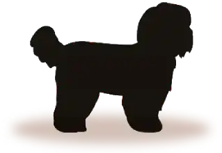 Small