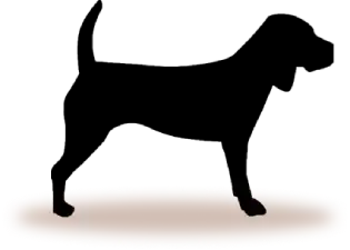 Small