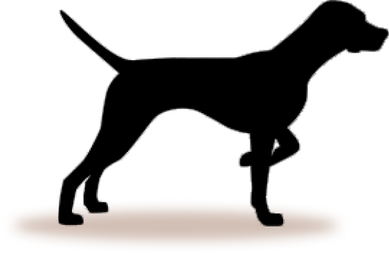 Small