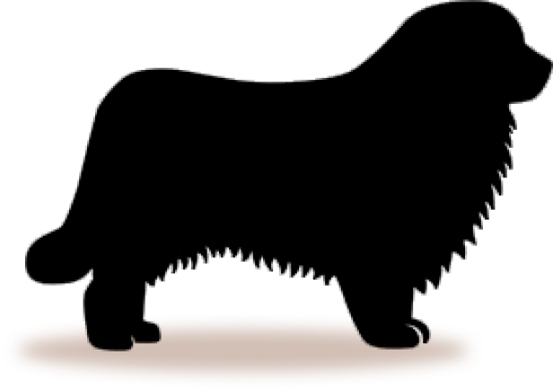 Small