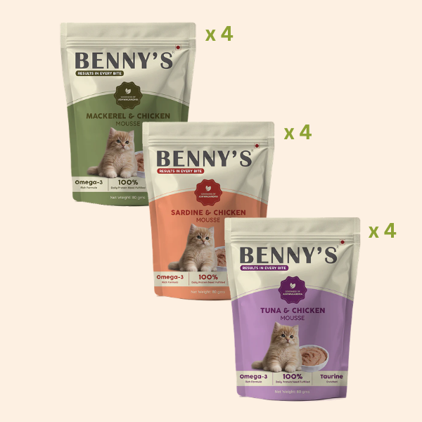 Wet Cat Food Trial Pack