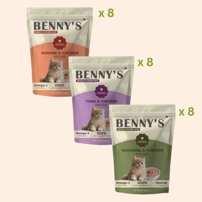 Assorted Wet Cat Food Monthly Plan