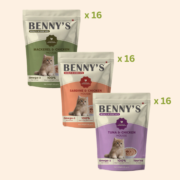 Assorted Wet Cat Food Monthly Plan