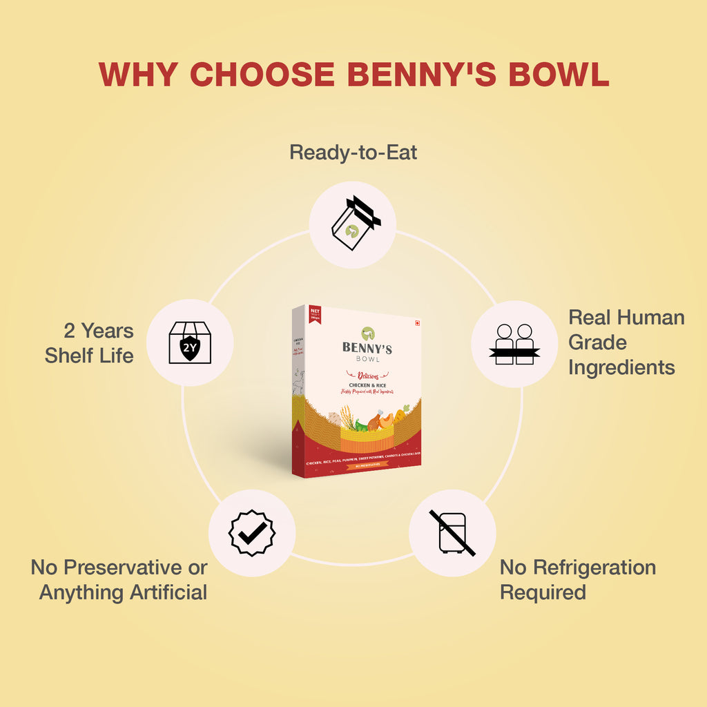 Benny's Bowl Fresh Dog Food | Chicken & Rice – Benny’s Bowl
